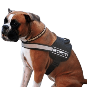 Dog Harness With Velcro Patches
