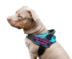 Velcro Patches For Dog Harness
