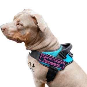 Velcro Patches For Dog Harness