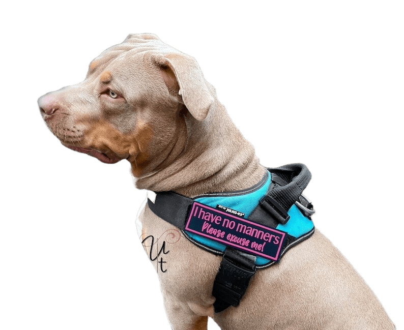 Velcro Patches For Dog Harness