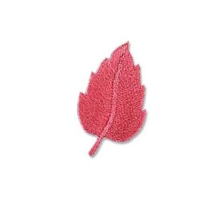Applique embroidery patches