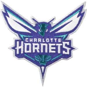 charlotte hornets color scheme