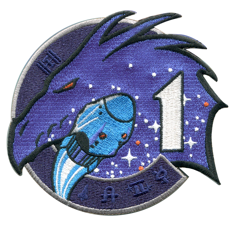 Nasa Dragon Mission Patch
