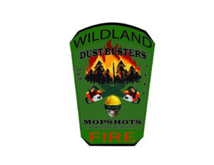 Wildland Fire Patch (custom order)
