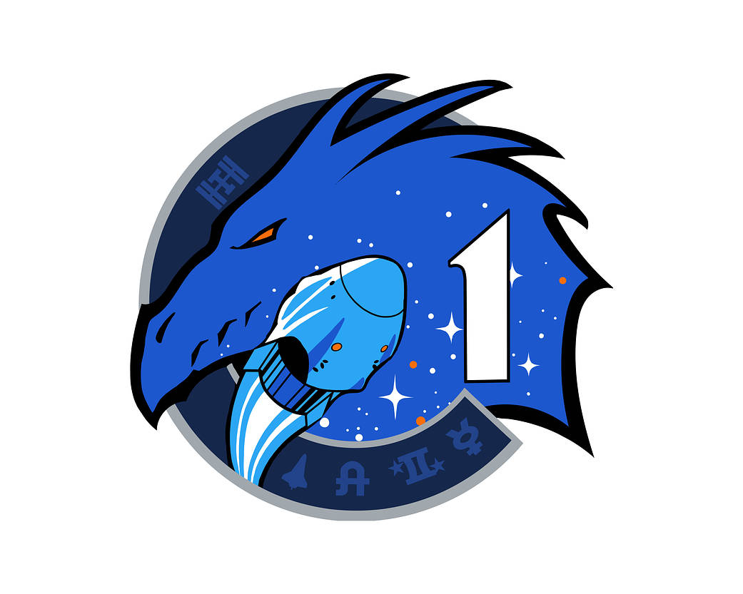 Crew 1 Mission Patch Space Artifact