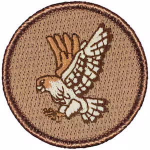Falcons Iron On Patch