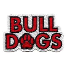 Chicago Bulls Iron On Patch