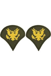 expert marksman badge