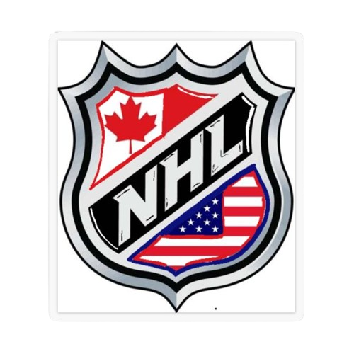 NHL Jersey Patches Authentic Hockey Gear | Stitchpatches.com