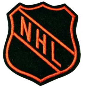 NHL Hockey Jersey Patches | Stitchpatches.com