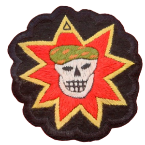 Vietnam Military Patches Authentic Designs