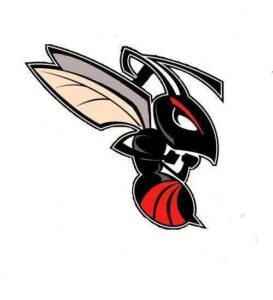 Bee (custom order)