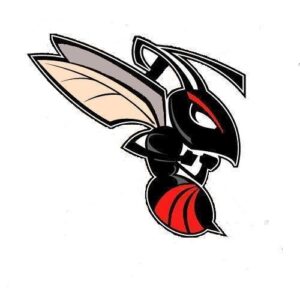 Bee (custom order)