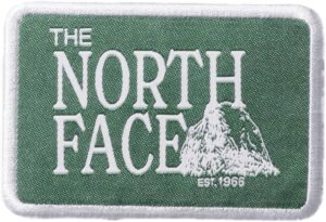 north face novelty patch hoodie