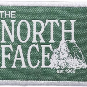 north face novelty patch hoodie
