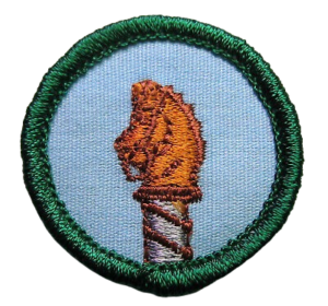 Savannah Girl Scout Patches