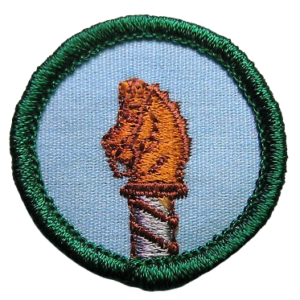 Savannah Girl Scout Patches