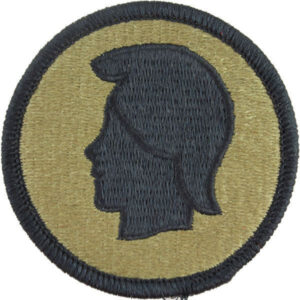 Hawaii Army Patch