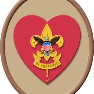 Boy Scout Rank Patches
