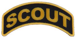 Daisy Scout Patch Placement
