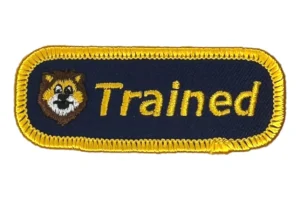cub scout lion patch
